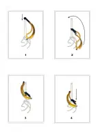 Рычаг Торнадика