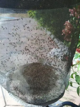 Система уничтожения комаров AERO S Plus фото в интернет магазине | zdorov.by