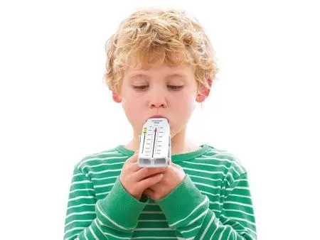 Пикфлоуметр Philips Respironics Personal Best HH1327 (1023833) фото в интернет магазине | zdorov.by